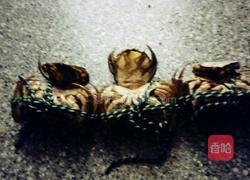 清蒸螃蟹的做法图解4