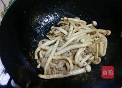 海鲜菇炒肉的做法图解12