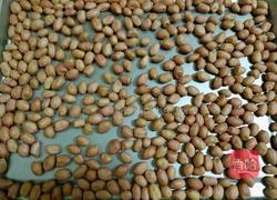 烤花生米（原味）的做法图解1