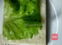 简易三明治的做法图解3