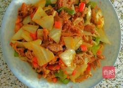 白菜炒肉的做法图解4