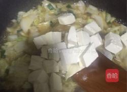 白菜炖豆腐粉条的做法图解6