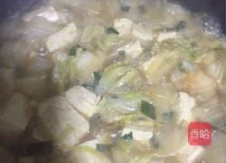 白菜炖豆腐粉条的做法图解8