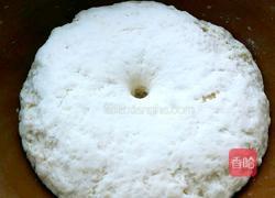 鲜肉洋葱包的做法图解11