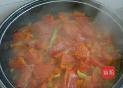 西红柿炖牛腩的做法图解5