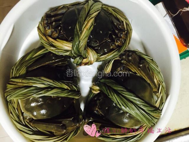 大闸蟹牙刷刷干净，有条件可以养两天，捆大闸蟹的这个草卖家说配合大闸蟹煮特别香，不用拆开