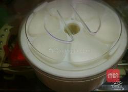 酸奶的制作过程的做法图解5