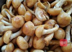 滑子蘑的做法图解1