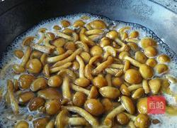 滑子蘑的做法图解3