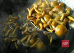 滑子蘑的做法图解4