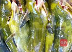 黄骨鱼焖酸菜的做法图解4