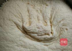 芹菜猪肉馅包子的做法图解3