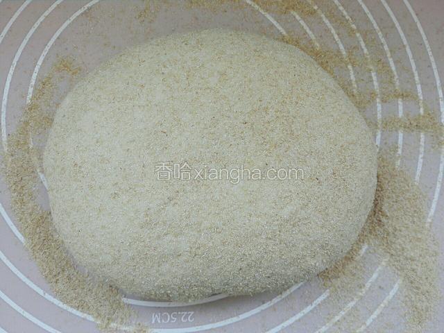 然后倒入有麦麸面铺上，排气揉园