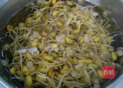炒豆芽的做法图解3