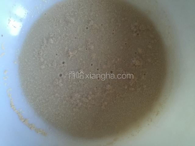 用10克温水将酵母化开。