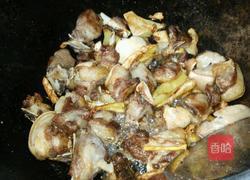 药膳炖羊肉的做法图解4