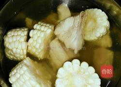 玉米炖排骨的做法图解6