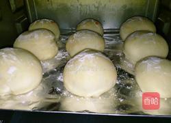 核桃蓝莓小餐包的做法图解6