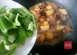 土豆炖鸡肉的做法图解9