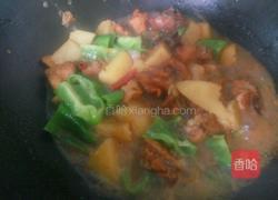 土豆炖鸡肉的做法图解10