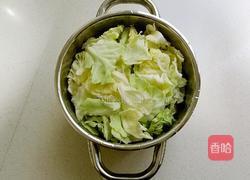 酸辣手撕包菜的做法图解1