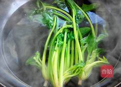 香煎鸡肉饼的做法图解9