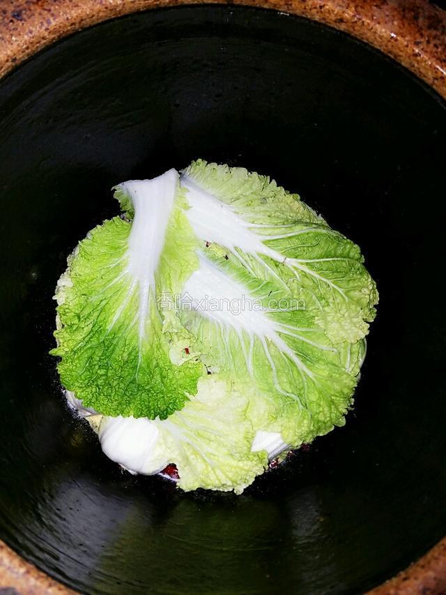多余大菜叶封口