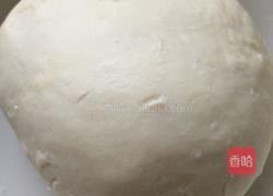 「带自制披萨饼胚」烤披萨的做法图解4