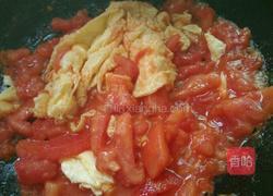 番茄炒蛋的做法图解10