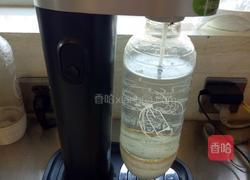 金桔柠檬苏打的做法图解6