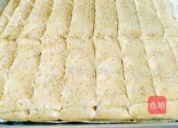 花椒盐烤饼的做法图解20