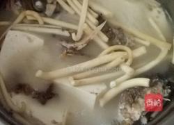 鲫鱼豆腐下奶汤的做法图解6