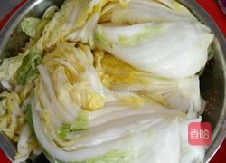 韩国辣白菜的做法图解1