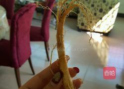 鲜人参乌鸡汤的做法图解4