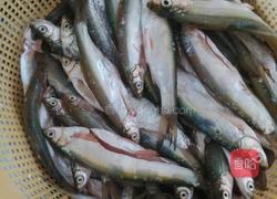 鲜炸溪鱼仔的做法图解1