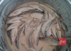 鲜炸溪鱼仔的做法图解3