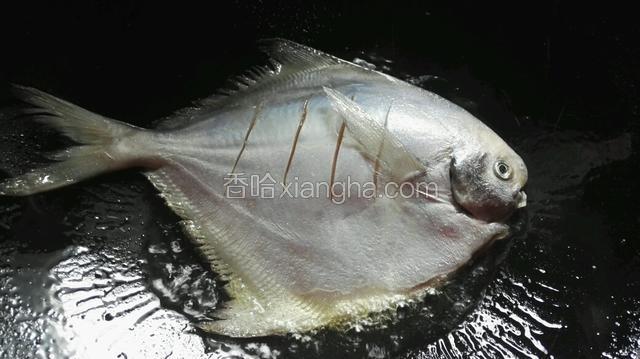 锅炒热，煎鱼锅要烧热，倒入油，油微热放入鱼。