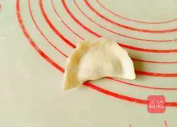 Illustration of how to make cabbage and pork dumplings 13