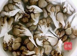 蘑菇炖豆腐的做法图解3