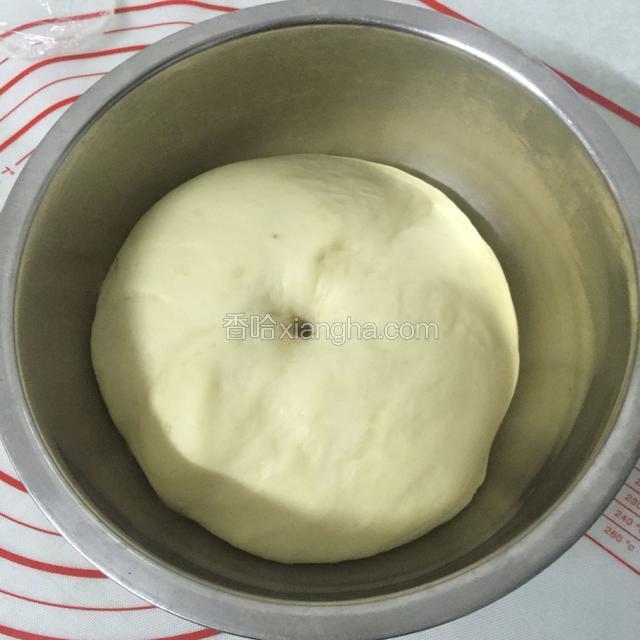 面团发到两倍大，手指按压不回缩。