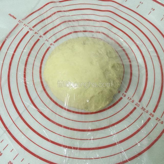 揉匀排气，盖保鲜膜醒发20分钟。