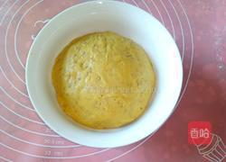 胡萝卜芝麻馒头的做法图解6