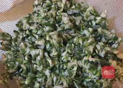 Illustration of making dumplings with sophora flower stuffing 2