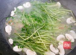 上汤豆苗的做法图解9