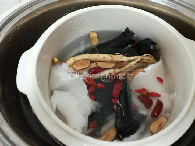 将所有材料放进炖盅，加椰汁和清水共三碗一起炖～