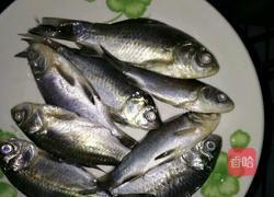 野生鲫鱼汤的做法图解1