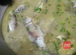 野生鲫鱼汤的做法图解7