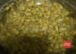 肉丝炒豆芽的做法图解3