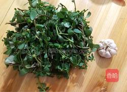 炒马齿苋的做法图解1