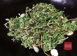 炒马齿苋的做法图解6